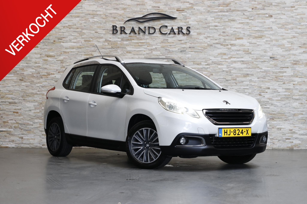 56250319